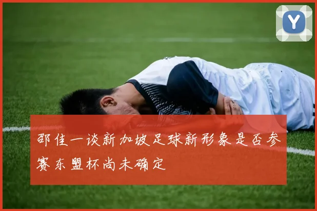 邵佳一谈新加坡足球新形象是否参赛东盟杯尚未确定