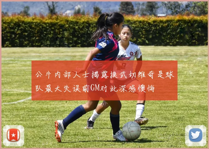 公牛内部人士揭露换武切维奇是球队最大失误前GM对此深感懊悔
