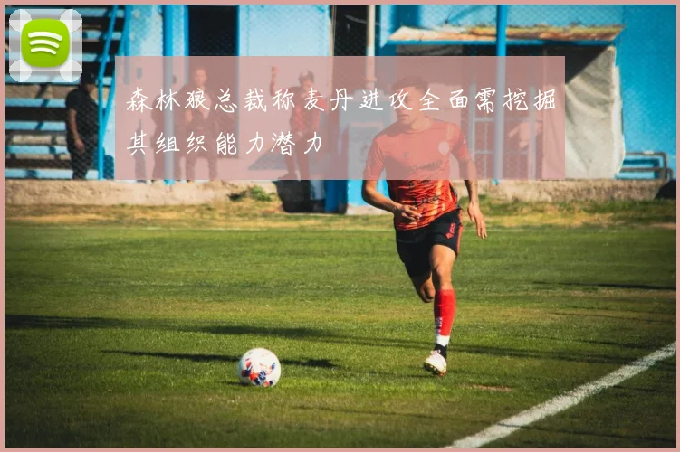 森林狼总裁称麦丹进攻全面需挖掘其组织能力潜力
